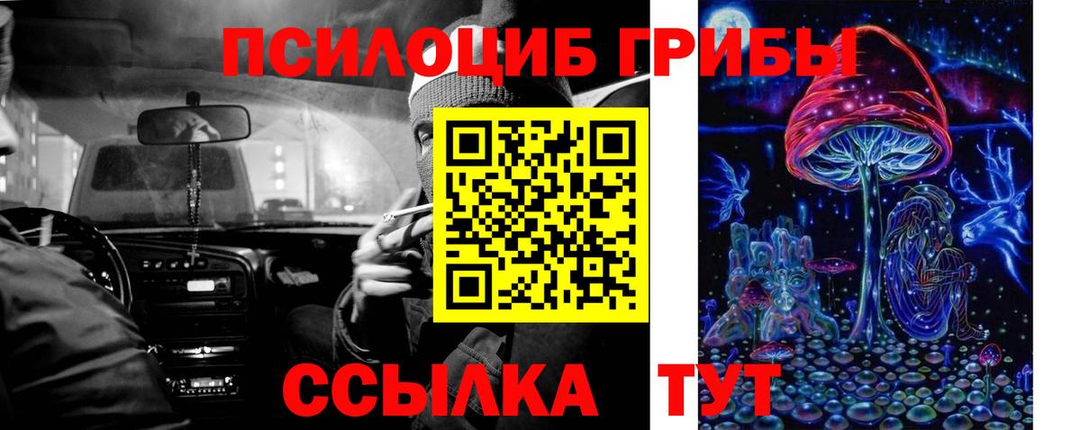 Псилоцибиновые грибы Cubensis Ивантеевка