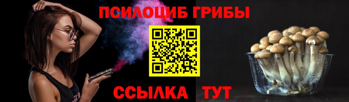 Галлюциногенные грибы мухоморы  закладка  Галлюциногенные грибы Cubensis  Ивантеевка  Вход с VPN 